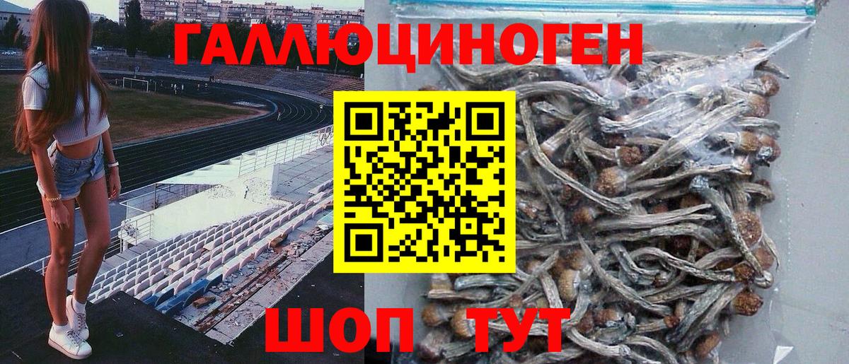 Псилоцибиновые грибы MAGIC MUSHROOMS  наркошоп  Кудымкар  Вход с VPN 